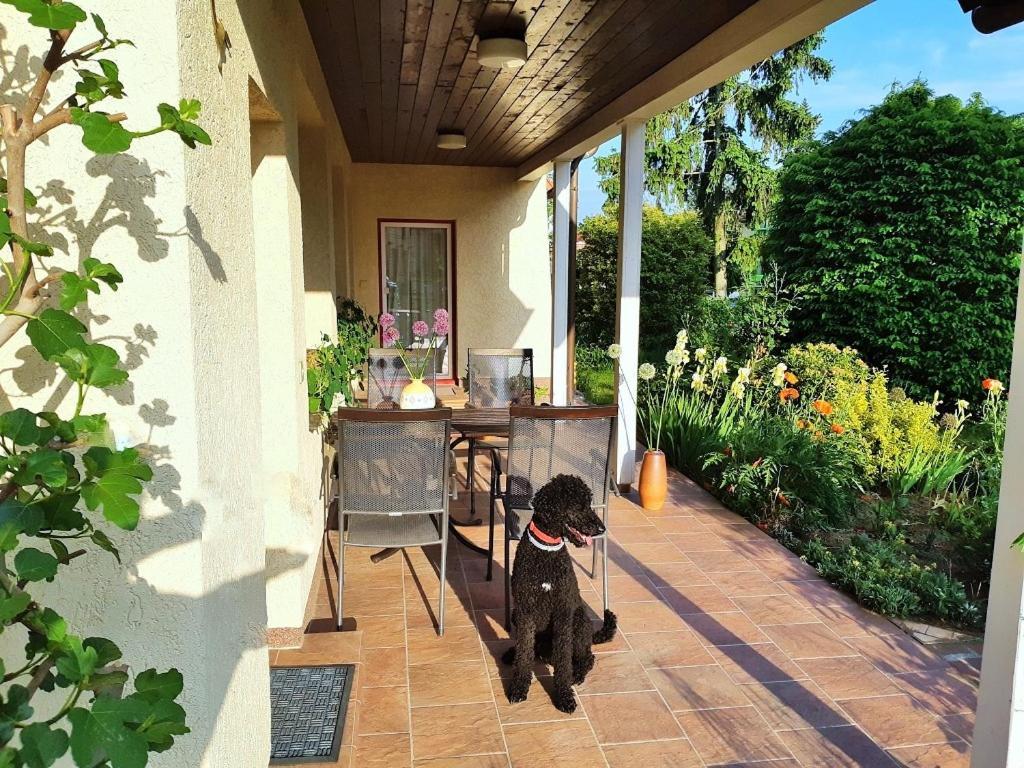 Ferienwohnung Petronela วาเริน ภายนอก รูปภาพ